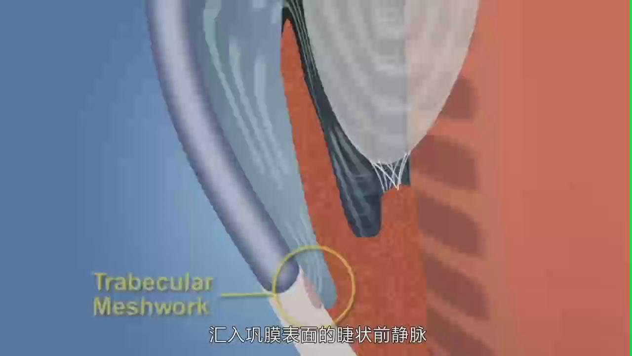 &#20061;&#28216;&#23448;&#26041;&#32593;&#39029;&#29256;&#45;&#20061;&#28216;&#40;&#20013;&#22269;&#41;